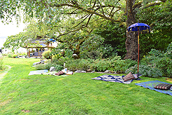 DAYLIGHT, DARK NIGHT AND BLUE SKIES WITH PAPA BUENO